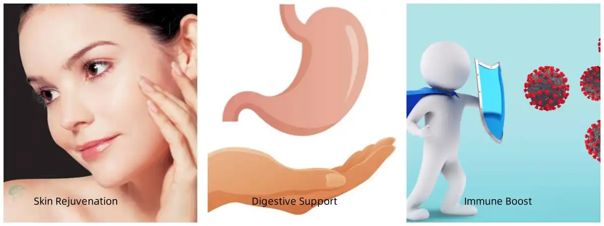 Bitter Orange Flower Extract Bitter Orange Flower Extract