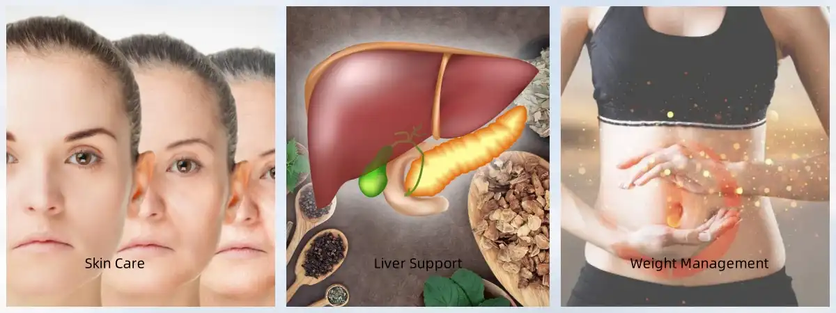 Dandelion Root Extract Powder Dandelion Root Extract Powder