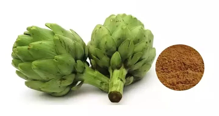 Artichoke Extract Powder Artichoke Extract Powder
