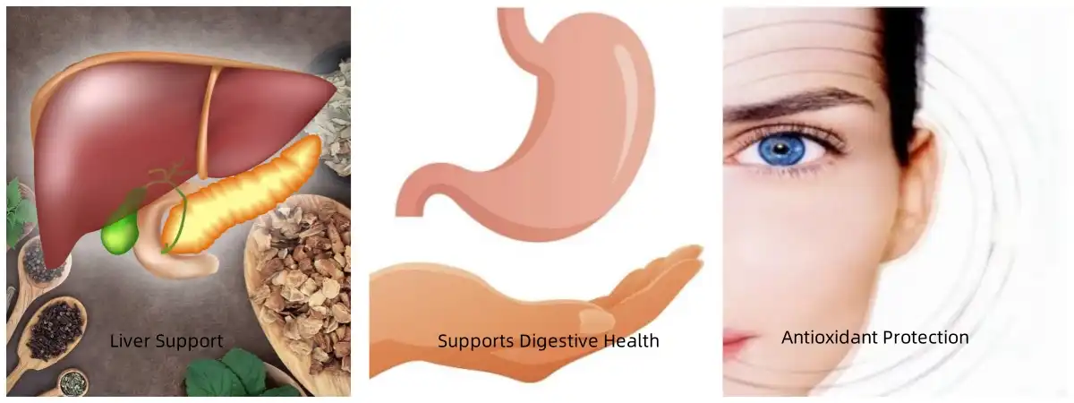 Artichoke Extract Powder Artichoke Extract Powder