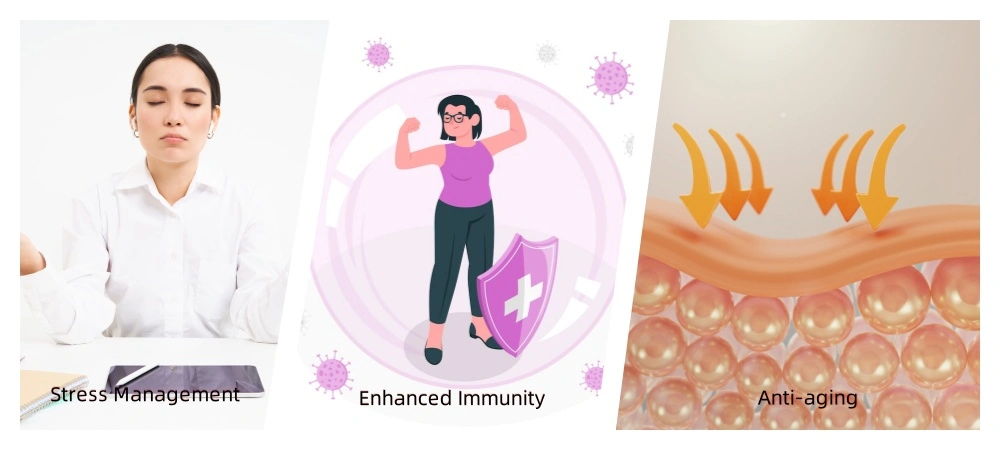 Ashwagandha Extract Powder Ashwagandha Extract Powder