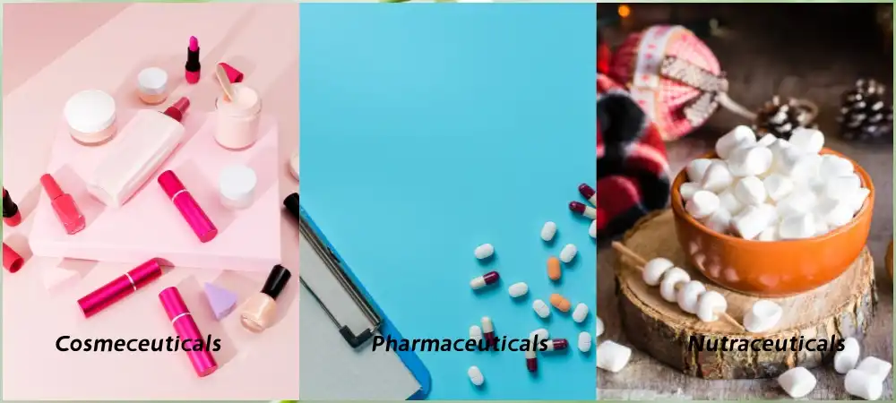 Ashwagandha Extract Powder Ashwagandha Extract Powder