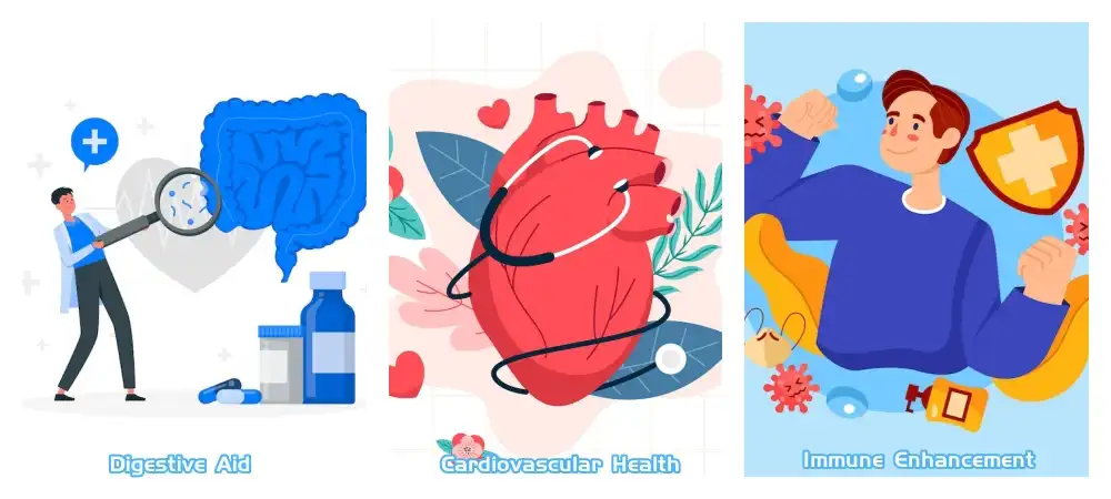 Black Garlic Extract Powder Black Garlic Extract Powder