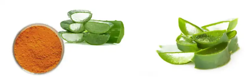 Aloe Emodin Aloe Emodin