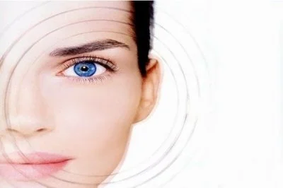 Chrysanthemum Extract Powder Chrysanthemum Extract Powder