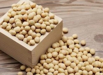 Soybean Extract Soybean Extract