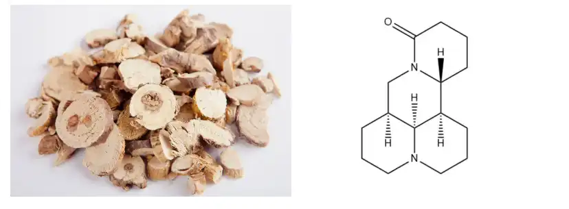 Matrine Powder Matrine Powder