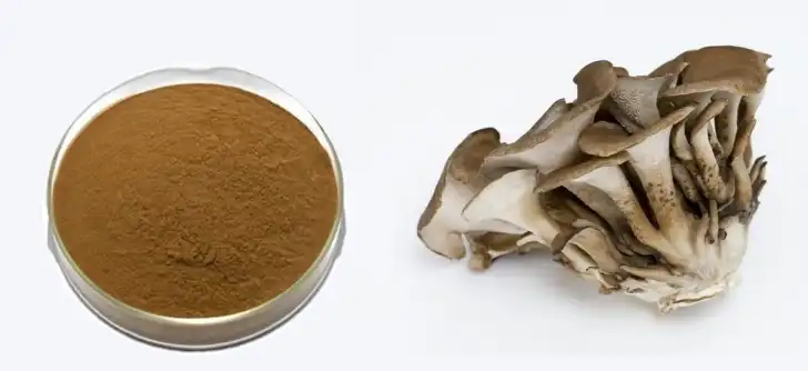 Maitake Mushroom Extract Maitake Mushroom Extract