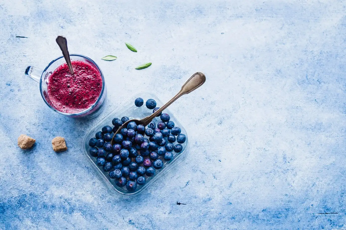 Bilberry Extract Powder Bilberry Extract Powder