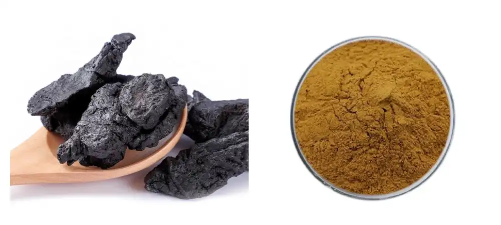 Rehmannia Extract Rehmannia Extract