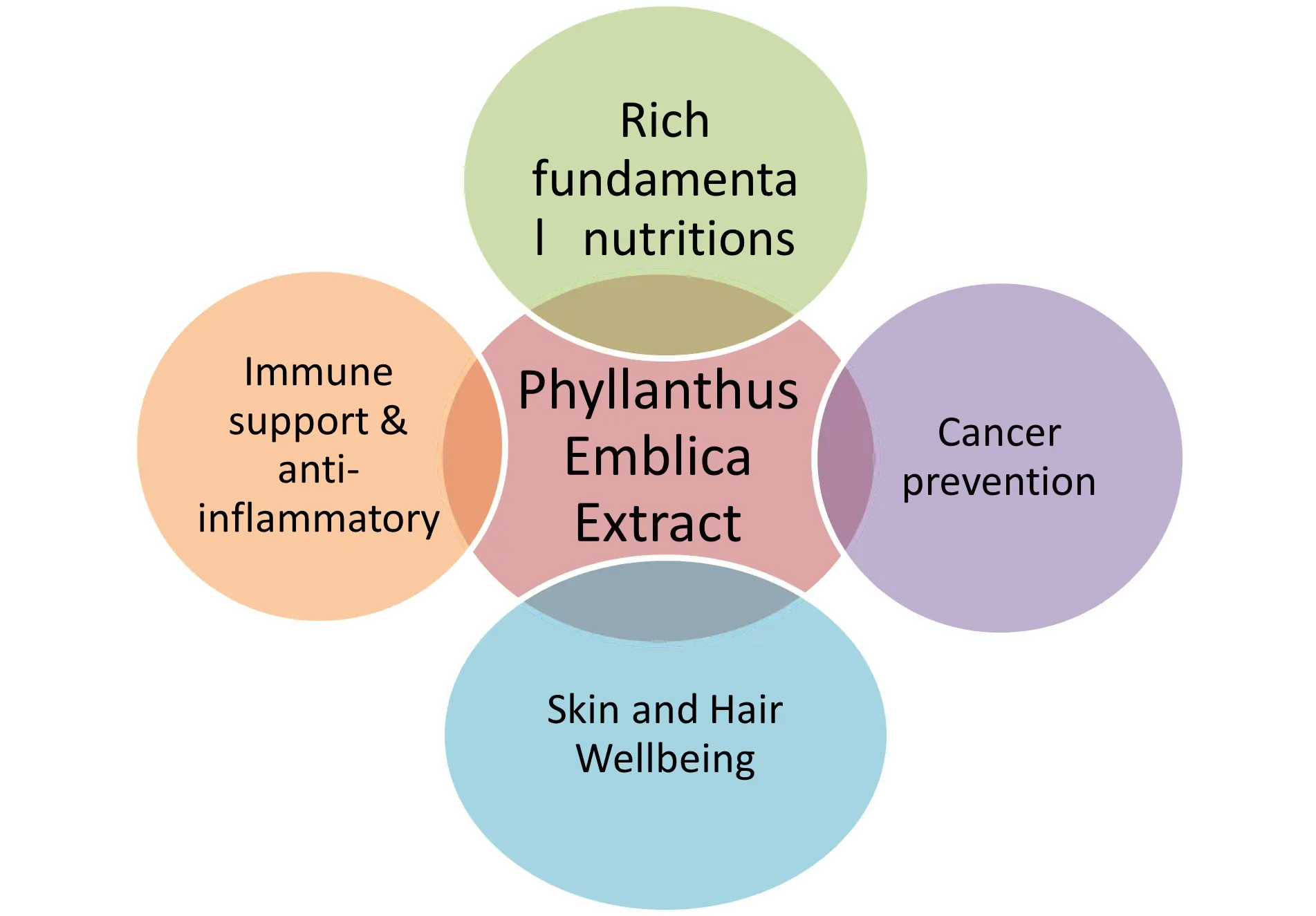 Phyllanthus Emblica Extract Phyllanthus Emblica Extract