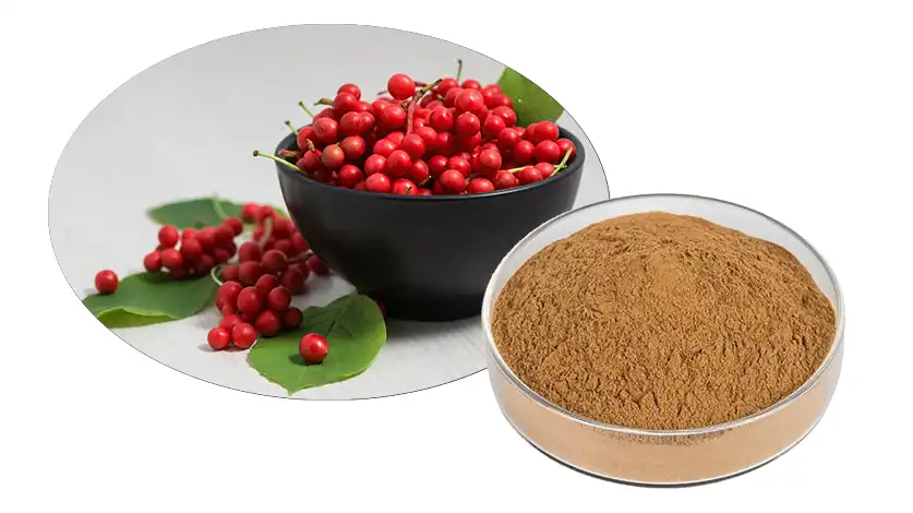 Schisandra Chinensis Extract Schisandra Chinensis Extract