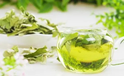 Lotus Leaf Extract application Lotus Leaf Extract application