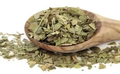 Lotus Leaf Extract Application Lotus Leaf Extract Application