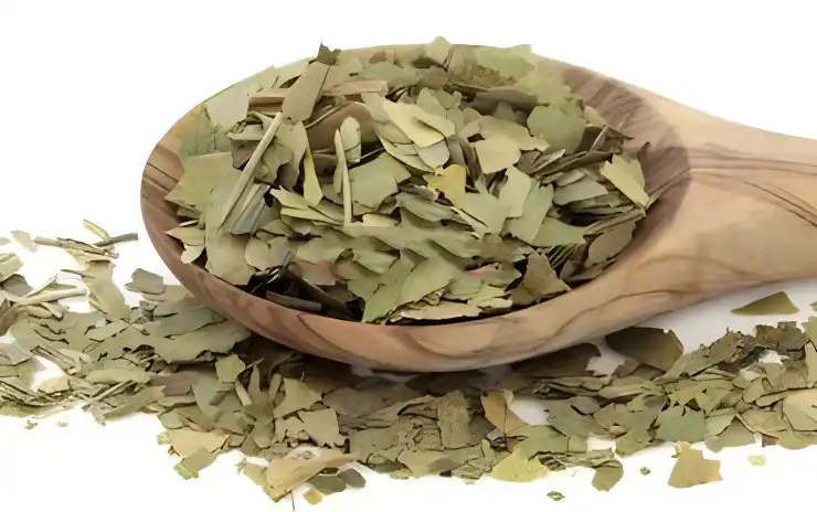 Lotus Leaf Extract Lotus Leaf Extract