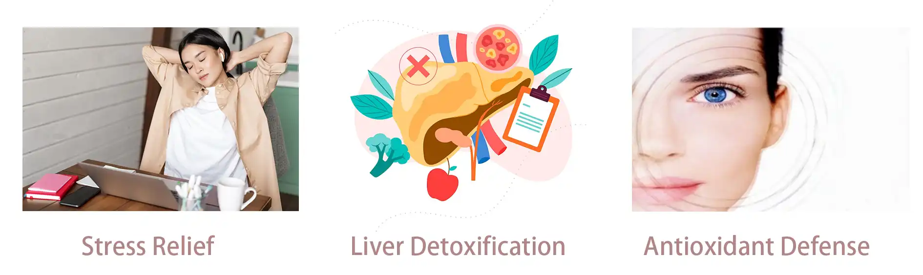 Schisandra Chinensis Extract Schisandra Chinensis Extract