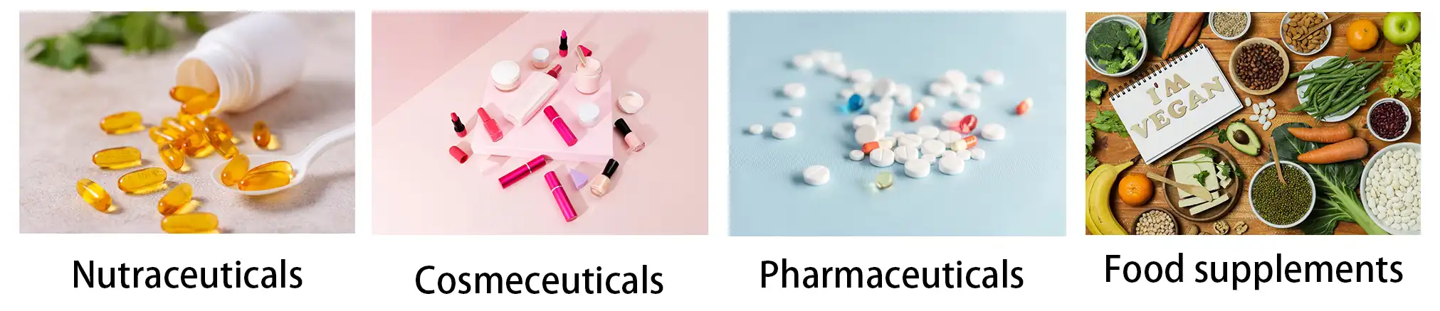 Bitter Melon Powder Bitter Melon Powder