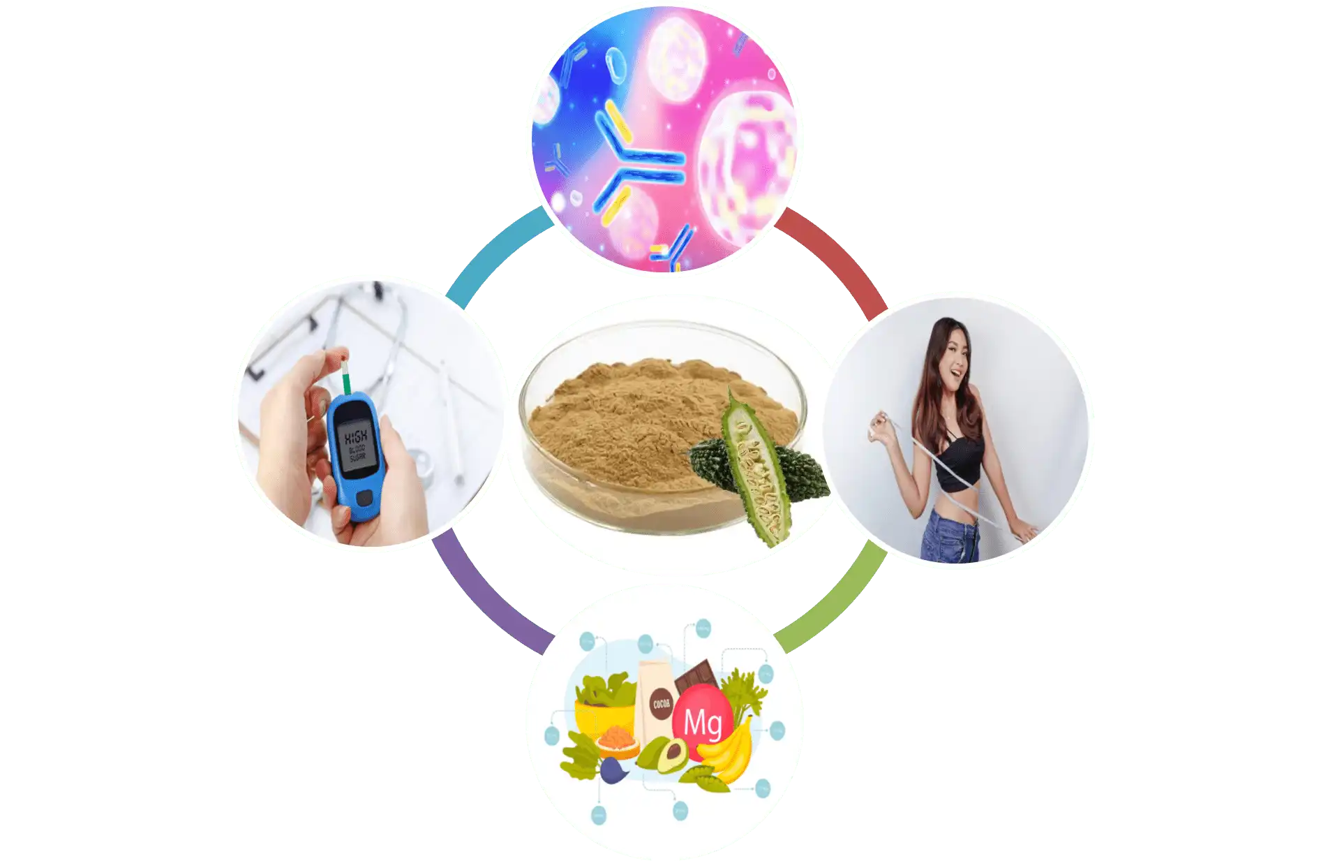 Bitter Melon Powder Bitter Melon Powder