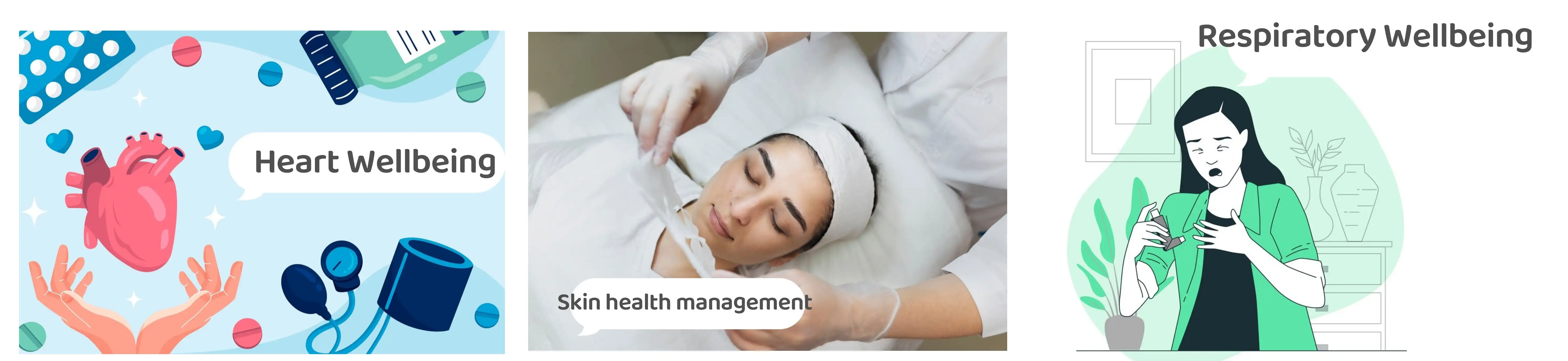 Elderberry Extract Powder Application Elderberry Extract Powder Application