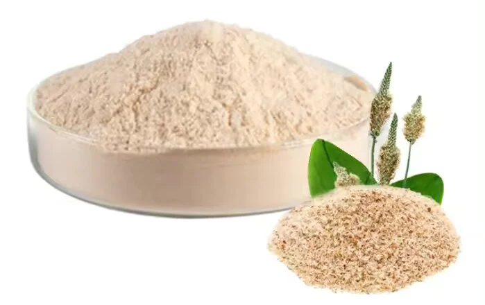 Psyllium Husk Extract Psyllium Husk Extract