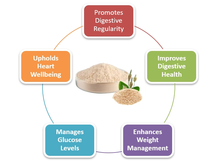 Psyllium husk powder Psyllium husk powder