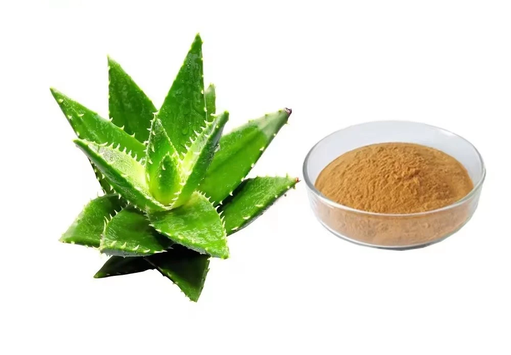aloe vera powder extract aloe vera powder extract