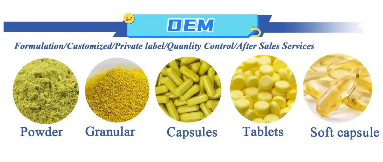 Ginseng Root Extract OEM Ginseng Root Extract OEM