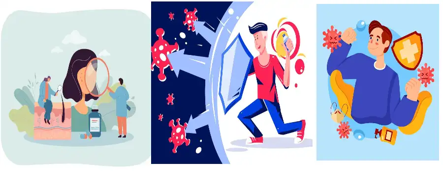 Echinacea Purpurea Extract Powder Echinacea Purpurea Extract Powder