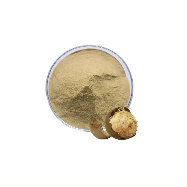 Monk Fruit Extract Powder Monk Fruit Extract Powder