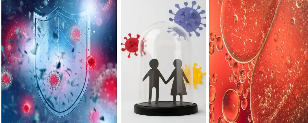 Turmeric Extract Powder Functions Turmeric Extract Powder Functions