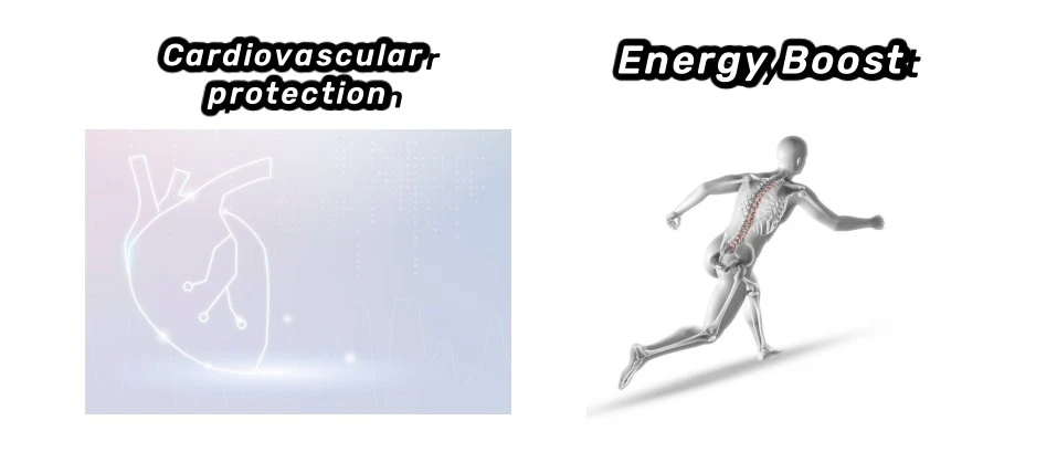 Epimedium Extract Powder function Epimedium Extract Powder function