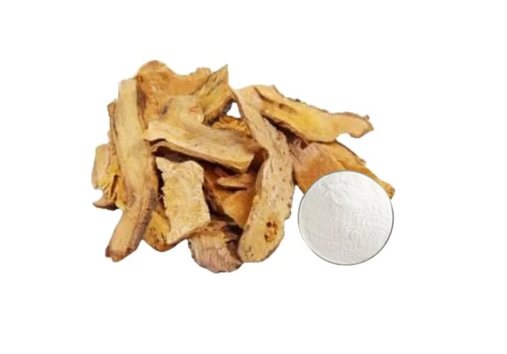 Polygonum Cuspidatum Extract Polygonum Cuspidatum Extract