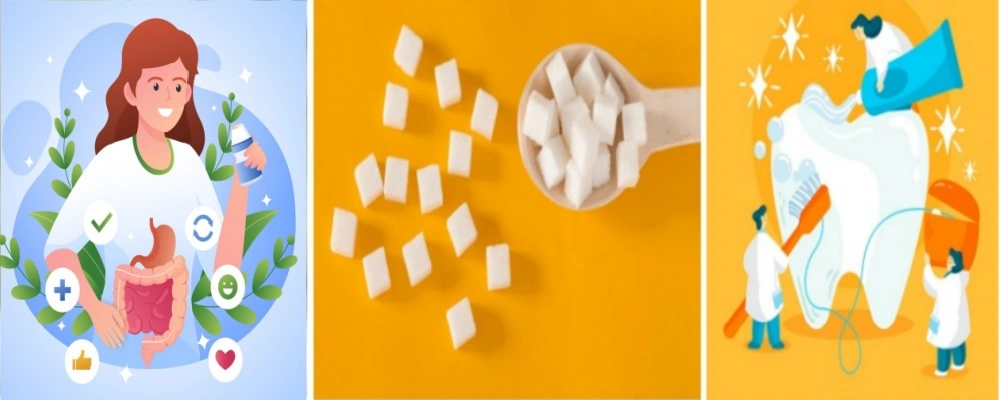 Monk Fruit Extract Powder Functions Monk Fruit Extract Powder Functions