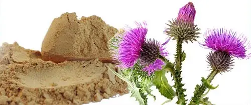 Milk Thistle Extract Powder Milk Thistle Extract Powder