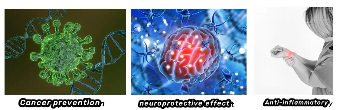 Curcumin Powder Function Curcumin Powder Function