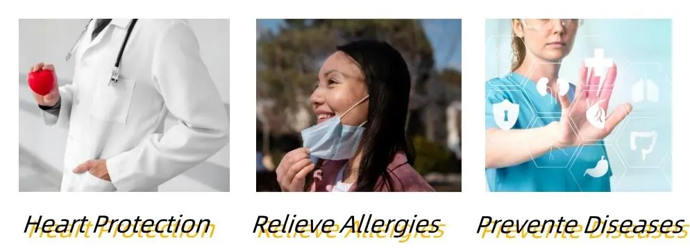 Quercetin Powder Functions Quercetin Powder Functions