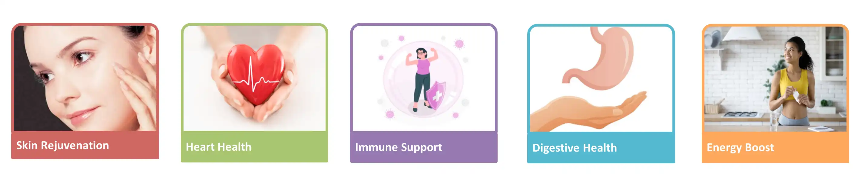 Kiwi Fruit Powder Kiwi Fruit Powder