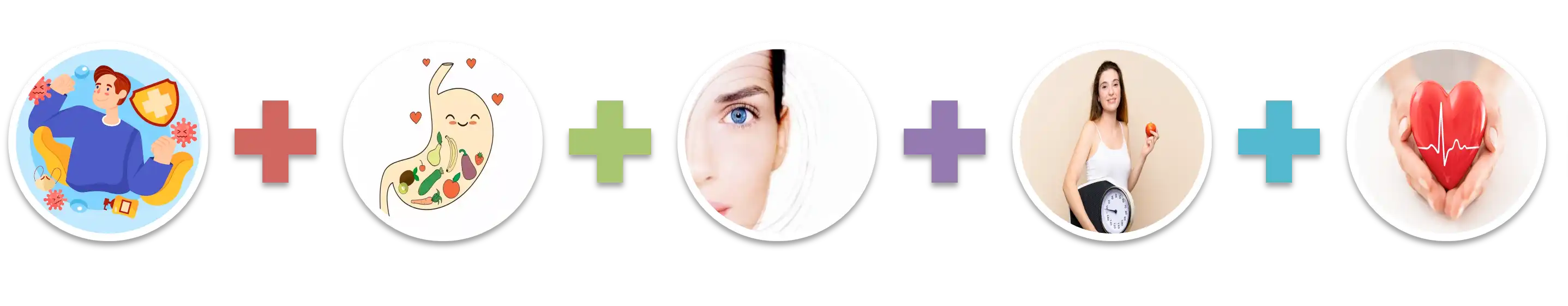 Passion Fruit Powder Passion Fruit Powder