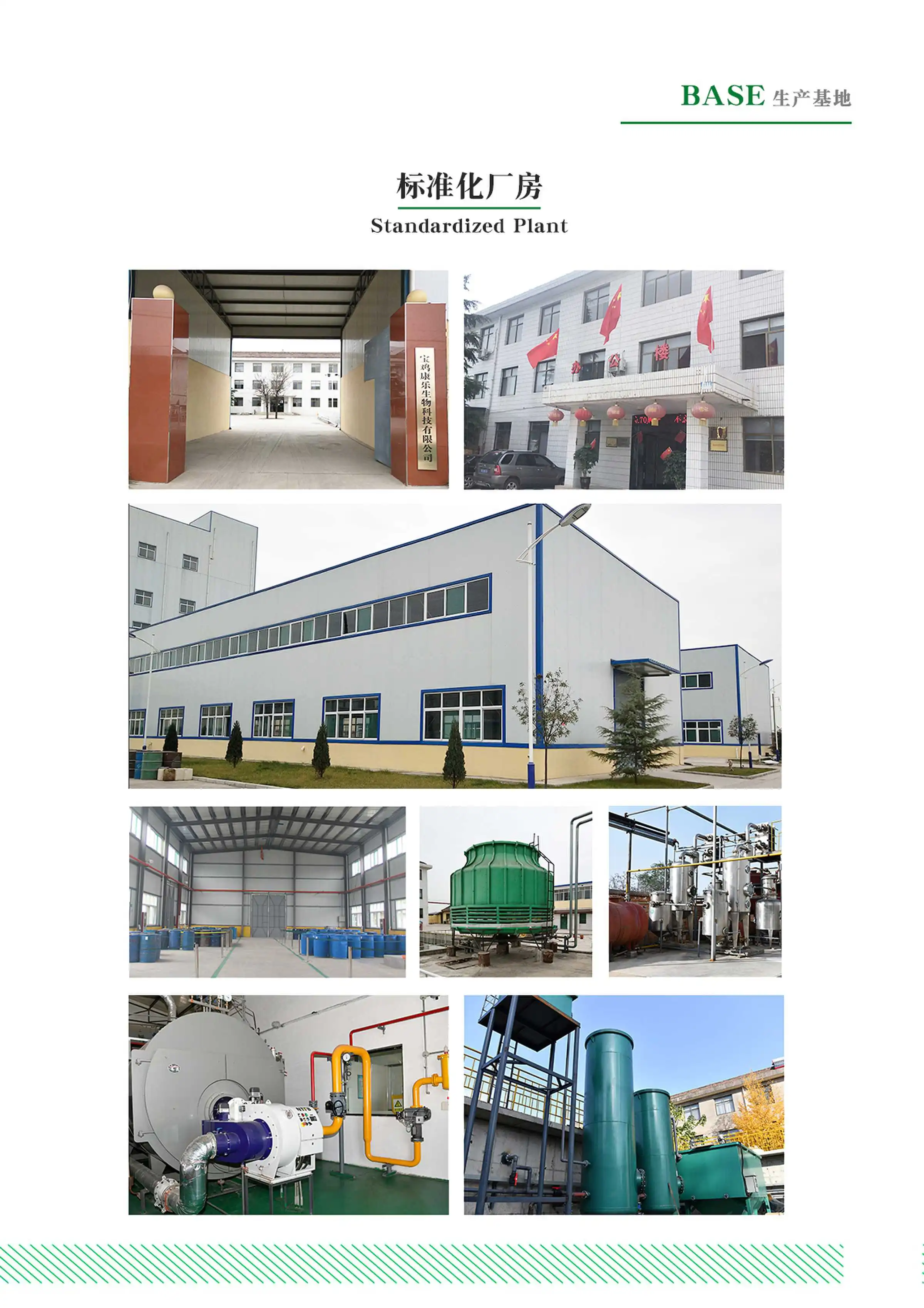 Passion Fruit Powder Passion Fruit Powder