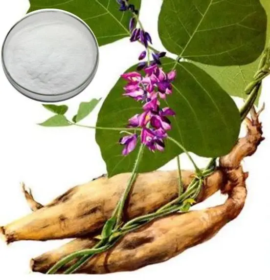 Puerarin Powder Puerarin Powder