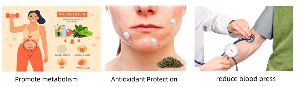 Natural Tea Polyphenols function Natural Tea Polyphenols function