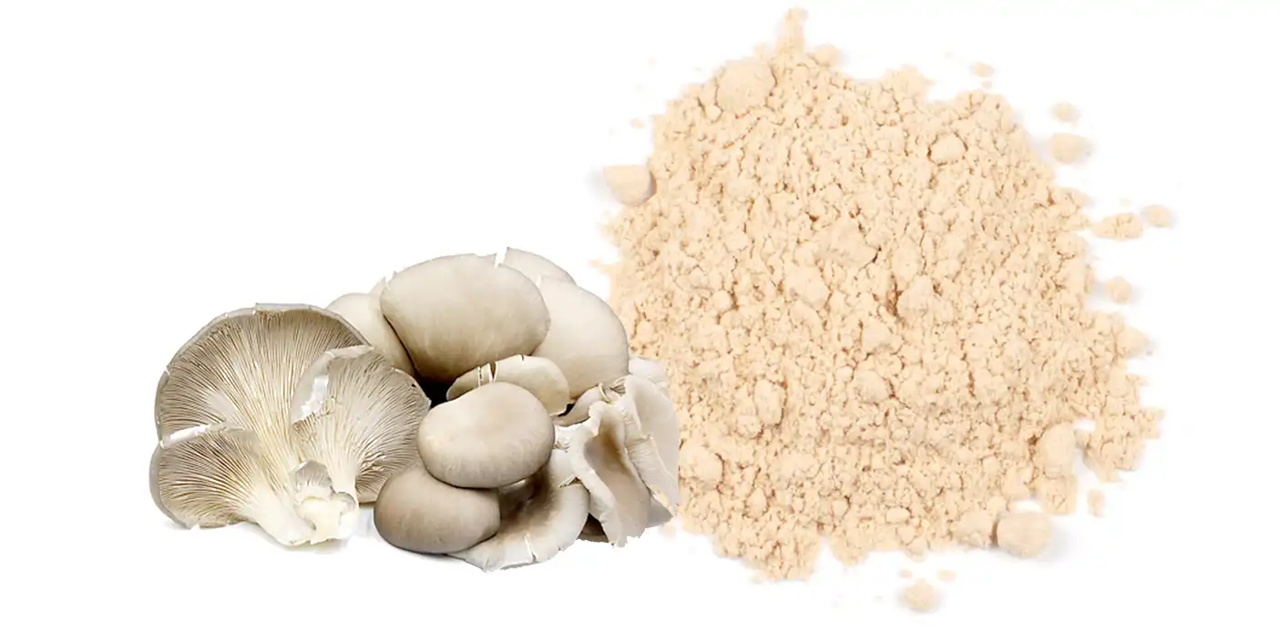 Mushroom Powder Mushroom Powder