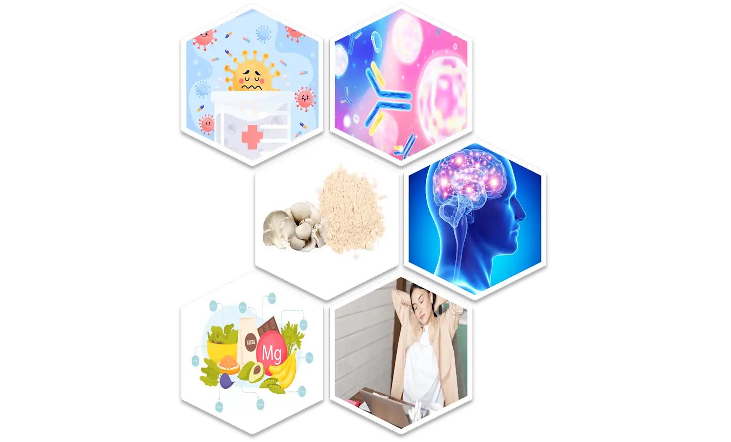 Mushroom Powder Mushroom Powder