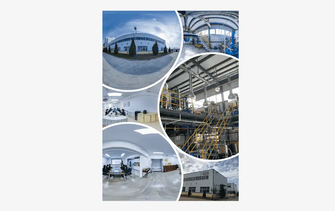 Mushroom Powder Mushroom Powder