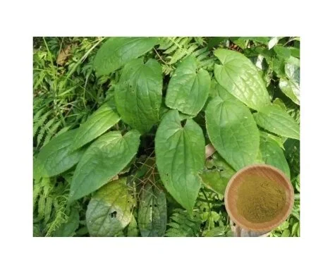 Icariin Powder Icariin Powder