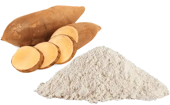 Yacon Powder Yacon Powder
