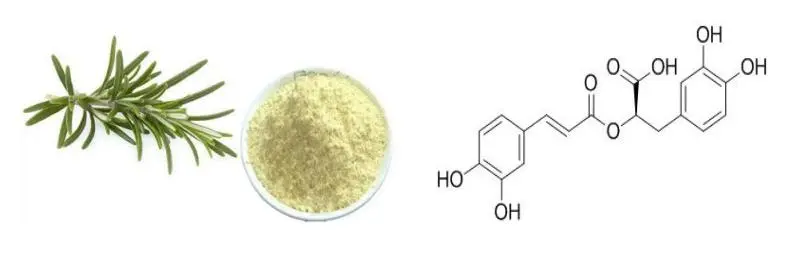 Rosmarinic Acid Powder Rosmarinic Acid Powder
