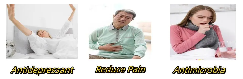 St John's Wort Extract Powder Functions St John's Wort Extract Powder Functions