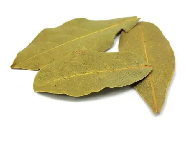 Ursolic Acid Powder Ursolic Acid Powder