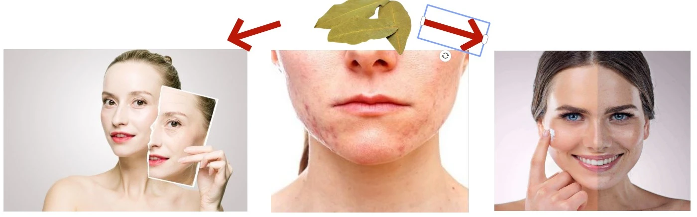 Ursolic Acid Powder function Ursolic Acid Powder function